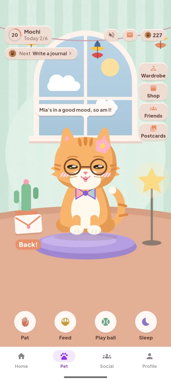 Sojiwa pet room featuring Mochi the cat wearing glasses
