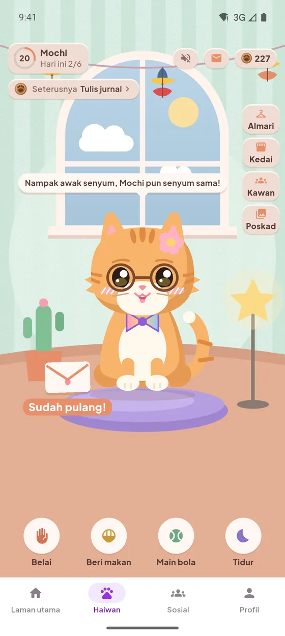 Bilik haiwan Sojiwa dengan Mochi si kucing berkaca mata