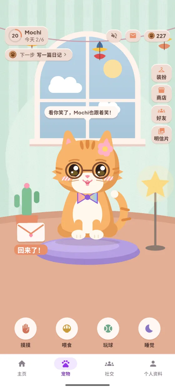 Sojiwa 宠物房间,戴眼镜的猫咪 Mochi